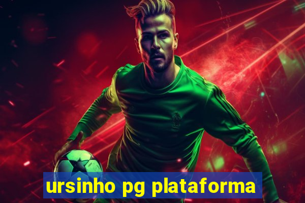 ursinho pg plataforma